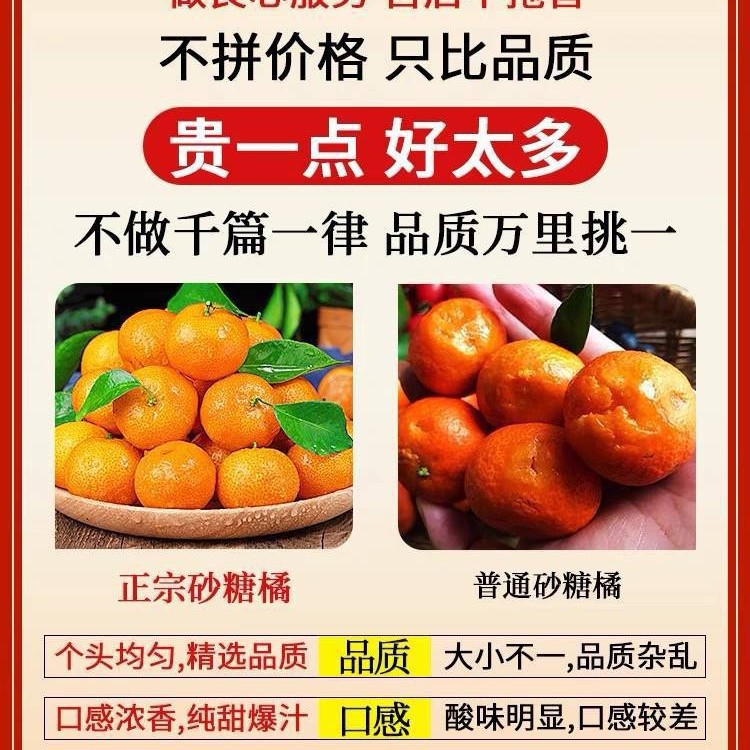 Authentic Guangxi Sugar Tangerine Fresh Fruit 5kg Seasonal Tangerine Golden Autumn Sugar Tangerine Tangerine Tribute Mandarin Whole Box Free Shipping