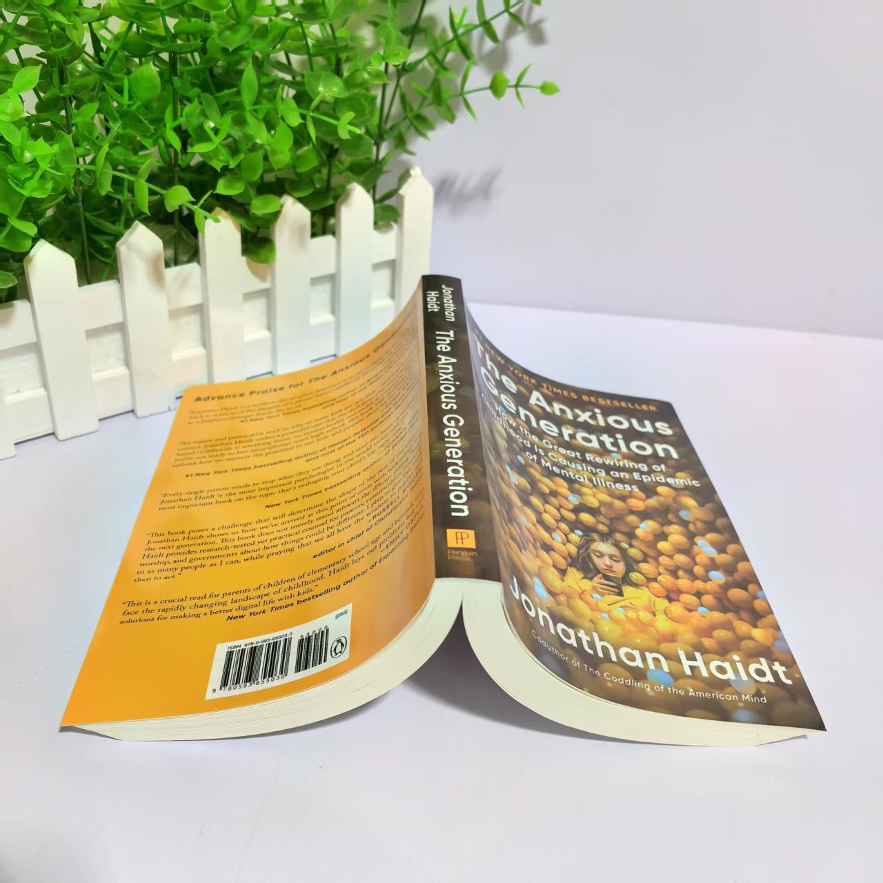 The Anxious Generation English Version The Anxious Generation