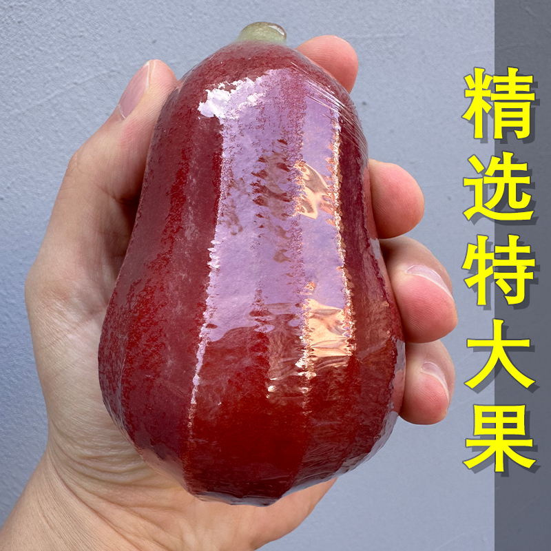 Gift-Giving Black Diamond Lotus Mist Fruit Freshly Picked Tropical First-Class Fruit Crispy Sweet Black Diamond Extra Large Fruit 0.5kg /Kg