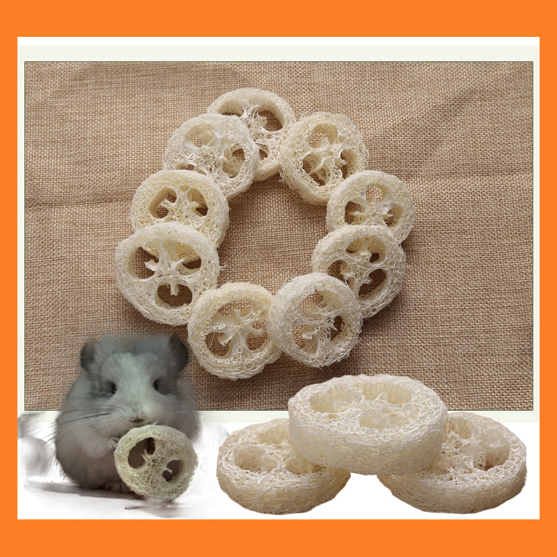 Игрушка-лакомство из люффы для Тоторо, кроликов, морских свинок, Защита зубов для домашних животных