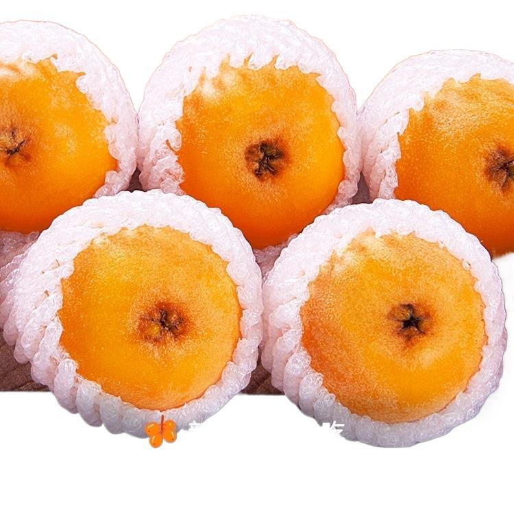 Sf Express Free Shipping Fresh Large Loquat Fruit 2.5kg Freshly Picked Seasonal Fruit for Pregnant Women Putian Shufeng Pipa Whole Box 3