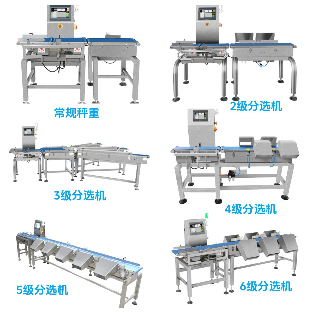 High-Precision Assembly Line Automatic Online Dynamic Checkweigher Belt Scale Food Packaging Manual Weighing Machine Manufacturer
