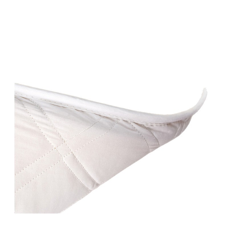 Foreign Trade Wool Mattress Cushion Home Bedroom Winter Lamb Velvet Blanket Single Winter Thickeneded Thermal Pad Quilt