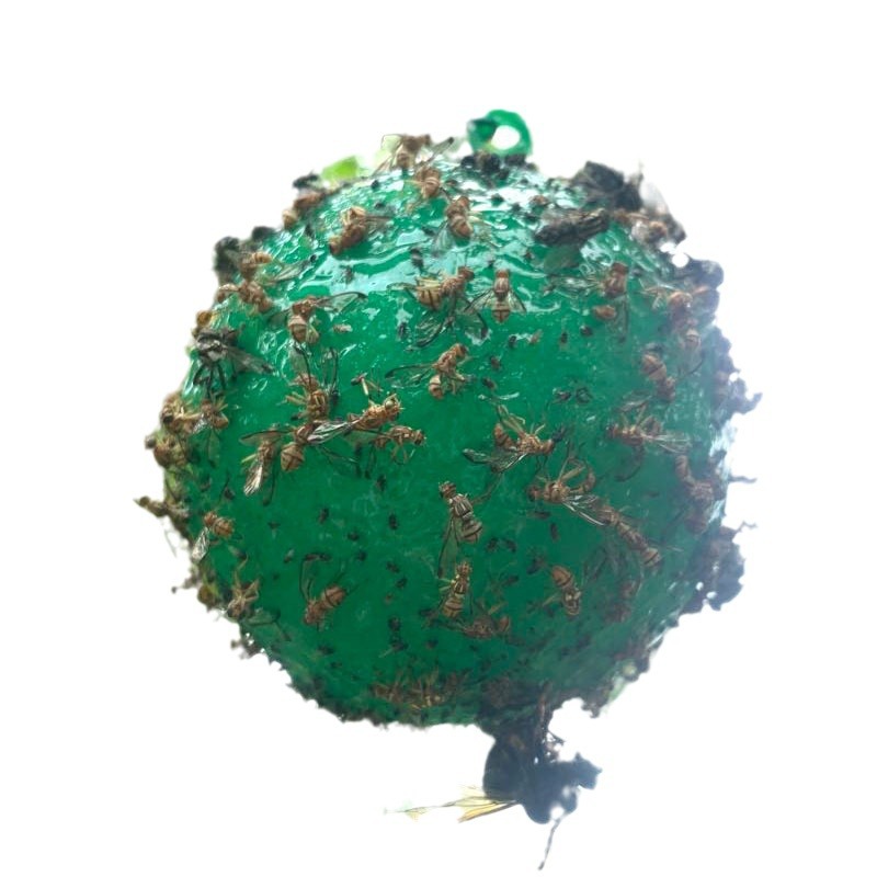 Armyworm ball loofah fruit fly sticker fly trap ball needle bee hornet color attractant fruit fly trap double-sided yellow paperboard
