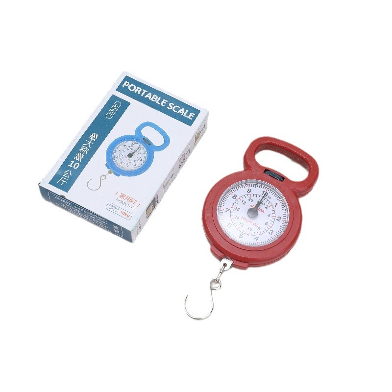 Precision Mini Spring Scale, High-precision Grocery Shopping Household Small Satchel Scale, Student Teaching Machinery Hook Scale