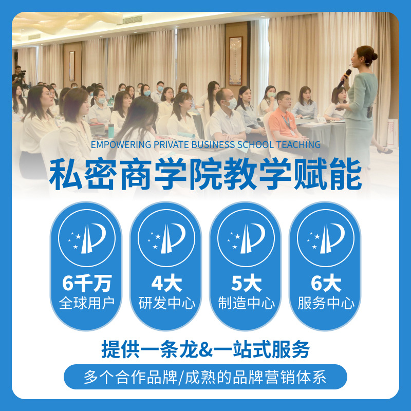 Snow Lotus Private Care Patch Herbal Pad Snow Lotus Patch 2 Patch Snow Lotus Pads Saffron Flower Snow Lotus Patch