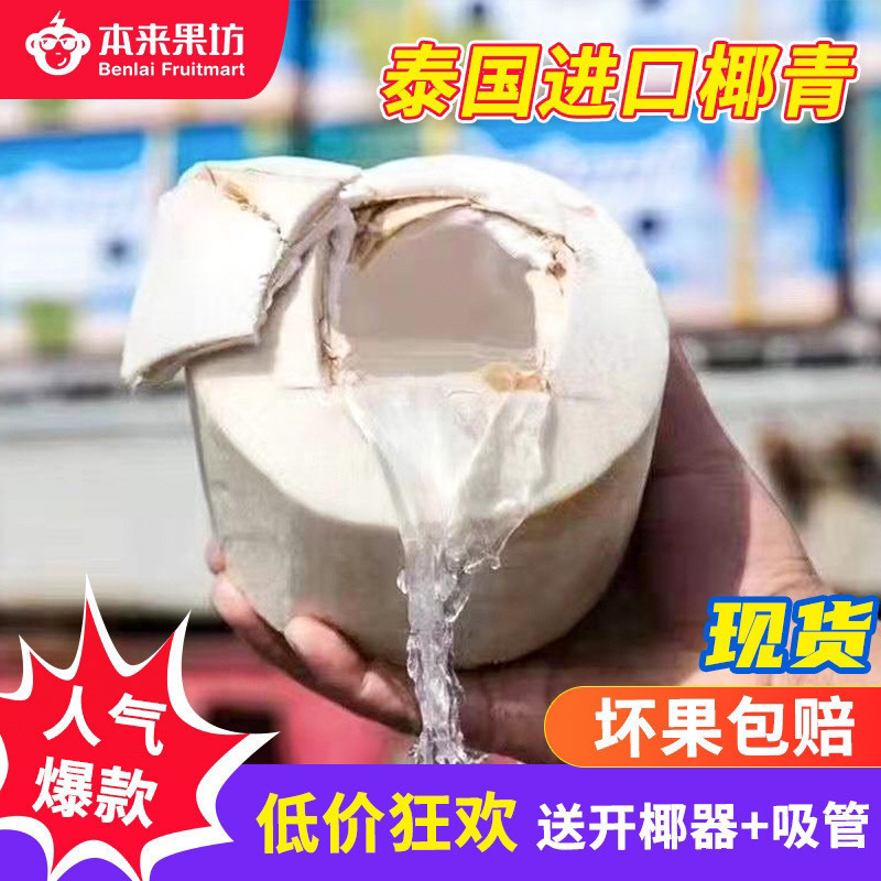 Thai Coconut Green 9 Large Fruit Perfume Fresh Coconut Wholesale Seasonal Fruits for Pregnant Women
