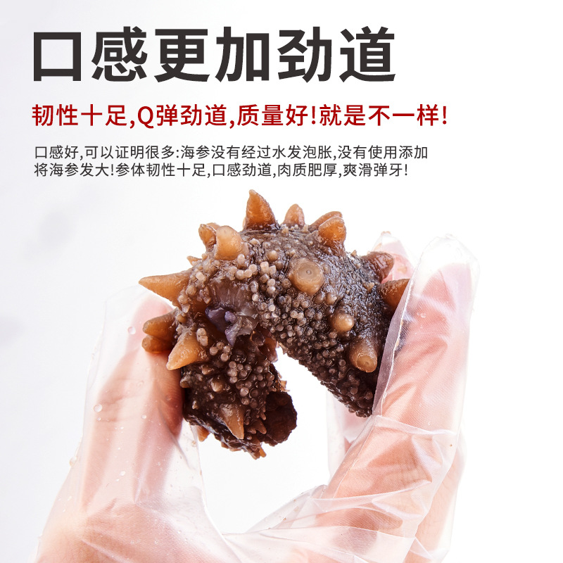 Ready-To-Eat Sea Cucumber Manufacturer Wholesale Dalian Sea Cucumber Gift Box Wholesale Sea Cucumber Fresh Non-Dry Cucumber Gift High Quality