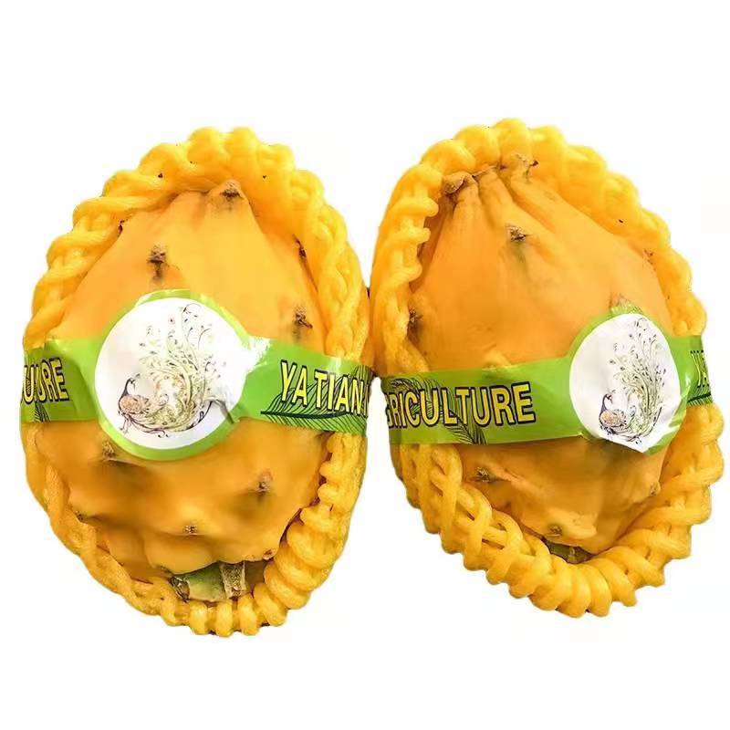 Hainan Bird's Nest Fruit 3//4/ 2.5kg Kirin Fruit Dragon Fruit Sf Express Free Shipping One-Piece Dropshipping Golden Kirin