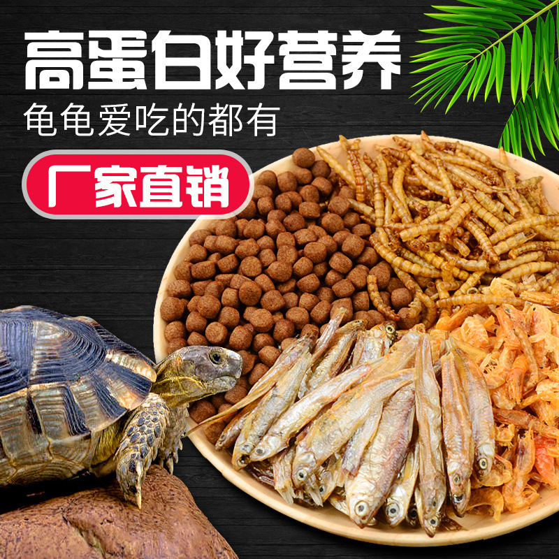 Factory Direct Sales Turtle Food Turtle Food Chinese Tortoise Brazilian Turtle Food Universal High Nutrition Wholesale Protein