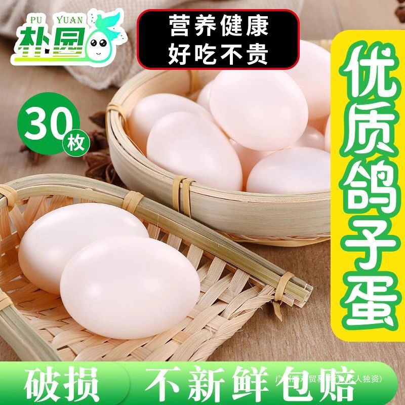 Pigeon Eggs, 15-60 Free-Range Pigeon Eggs Gift Box for Pregnant Women, Fresh, Large and High Quality