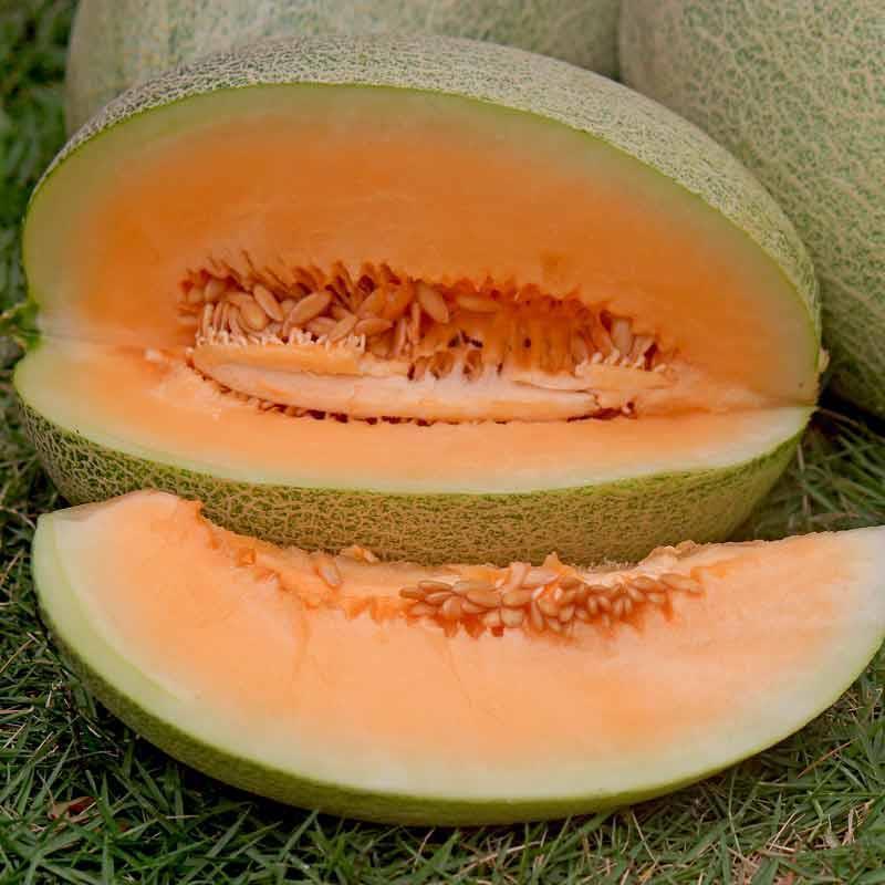 Xinjiang Cantaloupe, Turpan, Xizhou Honeydew Melon, Fresh Fruit Wholesale, Free Shipping, Shipped from Multiple Warehouses