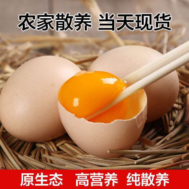 360 Pieces of Free-Range Eggs Wholesale, Fresh Farm-Raised Free-Range Eggs, Whole Box