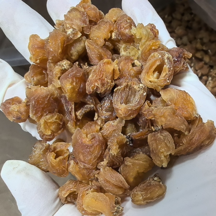 2025 Uniform Guangxi Bowa Longan Meat Jerky 500g, Not in Shape, Please Be Careful When Photographing, Darker Color, Seedless Longan Jerky