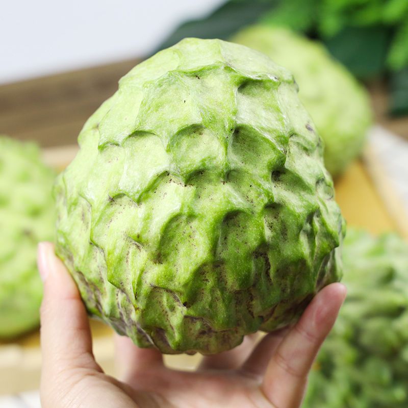 [Tian Xiaoxian] Guangxi Milk Custard Apple 2.5kg Fresh Pineapple Custard Apple Maci Buddha Head Fruit 0.5kg