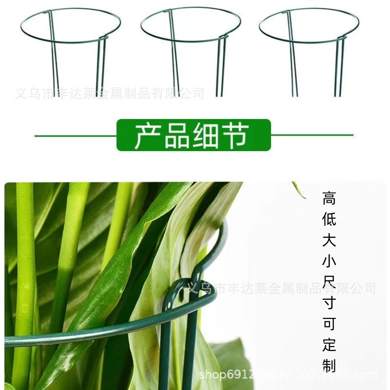 Wholesale European and American Cross-border Outdoor Garden Flower Pot Flower Support Bonsai Green Plant Support Bonsai Climbing Vine Support