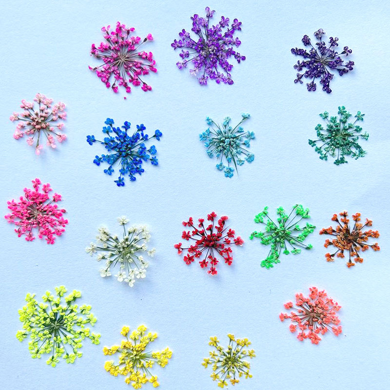 Кружевной цветок высушенный цветок тисненный образец для diy чехол для мобильного телефона капля клея ювелирное искусство ногтей настоящий цветок перегородка снежная бусина цветок высушенный цветок