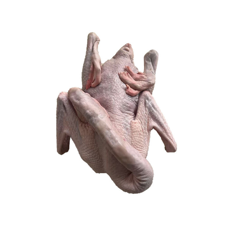 Authentic Fresh Lion Head Goose Food Foshan Factory Wholesale Freshly Cut Quick-Frozen Large Goose Head Fresh Goose Brine Braised Food