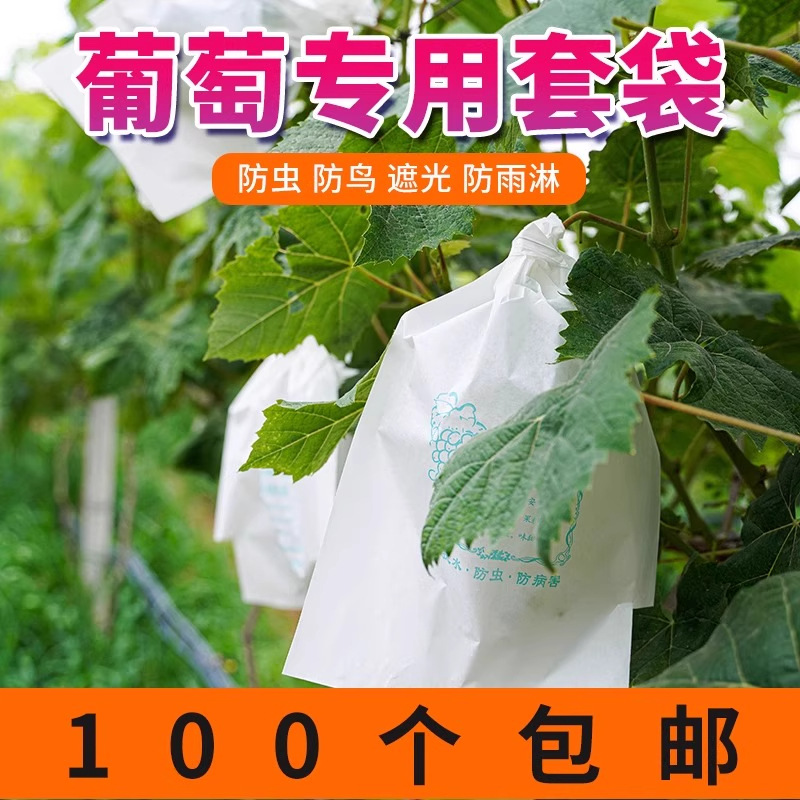 Grape Bagging Bag, Insect-Proof Grape Bag, Grape Paper Bag, Grape Bag, Fruit Bag, Waterproof Grape Bag