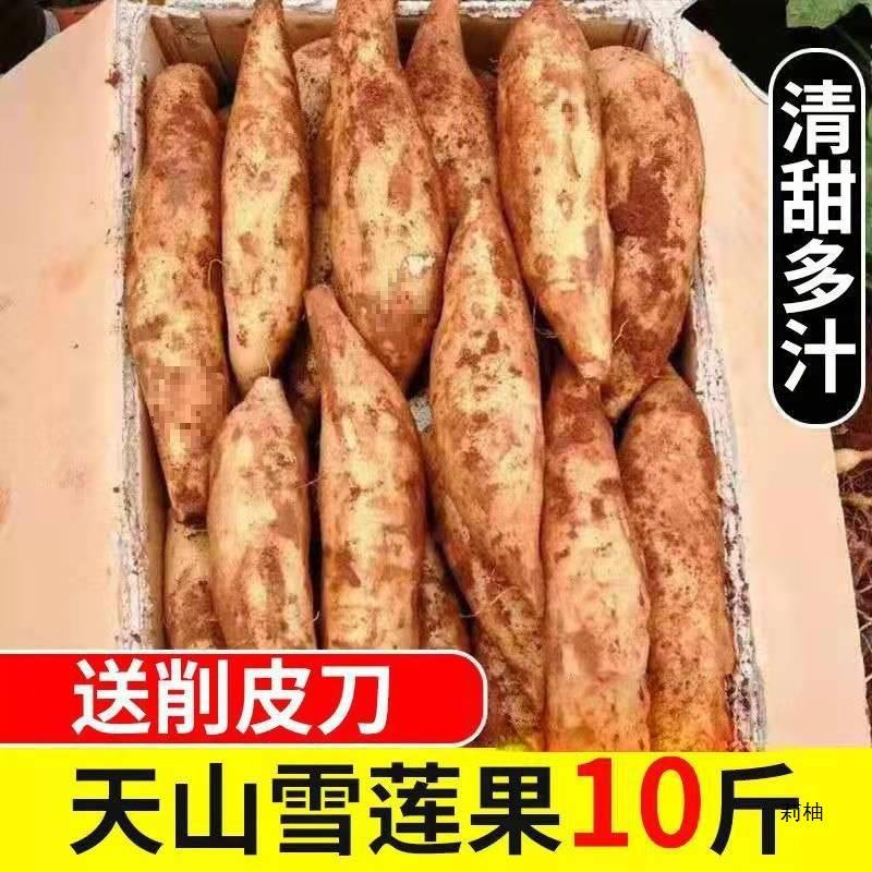 [Slender Fruit] Yunnan Tianshan Snow Lotus Fruit Fresh Fruit Whole Box Red Heart Pregnant Women Snow Lotus Yellow Heart