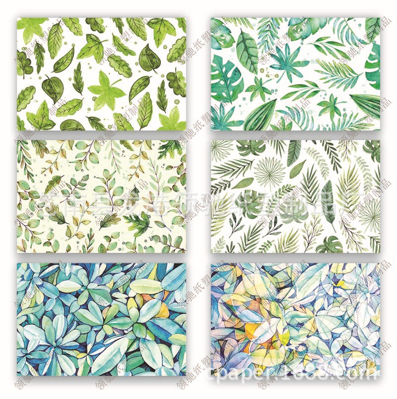 Amazon Cross-Border Kraft Paper Shading Watercolor Alpaca Cactus Lace Thank You Condolence Greeting Card Envelope Set