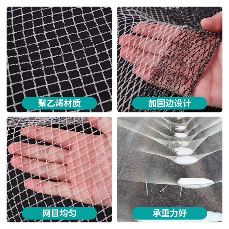 Anti-hail net anti-insect and anti-bird net orchard apple tree greenhouse anti-hail polyethylene new material anti-frost net wholesale