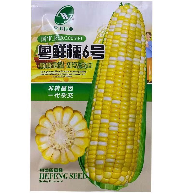 Guangdong Fresh Glutinous No. 6 National Review Corn Seeds Sweet and Juicy Two-Color Fruit Corn Seeds Early-Maturing Large Stick Corn Seeds