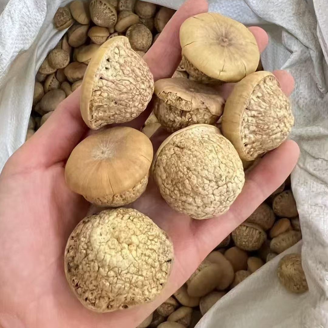 Wholesale Turtle Head, Tianzhu Seeds, Turtle Head, Fengliu Fruit, New Arrivals, Street Stall Supply, Soaked in Wine and Powdered