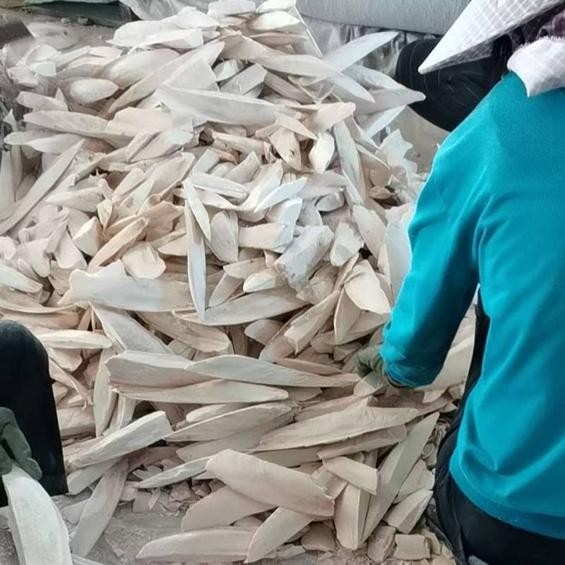 Wholesale cuttlefish bone perforated block source cuttlefish bone grinding desalting pet molars calcium supplement