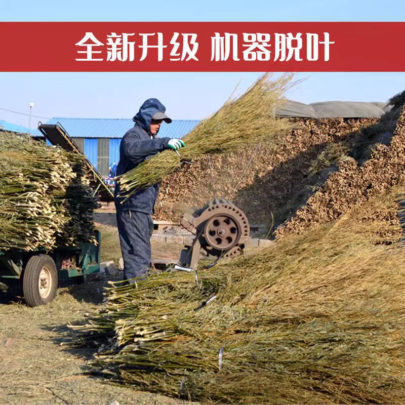 Big broom street sweeping outdoor garden courtyard handmade big broom sanitation floor cleaning broom bamboo broom