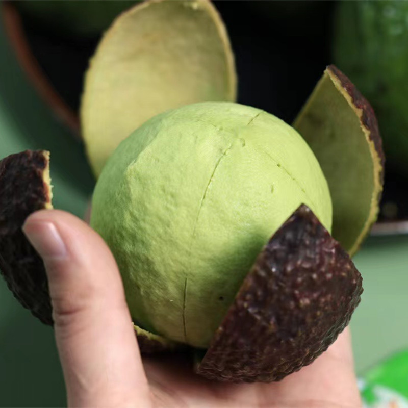 [Yunnan Hass Avocado] Non-Peruvian Avocados, Baby Food Supplement, Fresh Fruit for Pregnant Women, 6 Pieces, Dropshipping Available