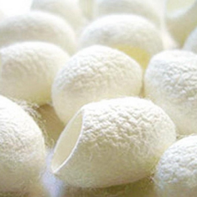 Cleansing Silk Face Ball Black Head Corneous Cutting Cocoon Shell Face Washing Cosmetic Cocoon