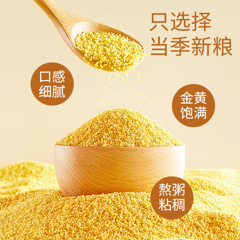 Organic Yellow Millet Selected Bagged 400g*2 Pure Inner Mongolia Millet Spot Wholesale Coarse Grain Rice Multigrain Porridge