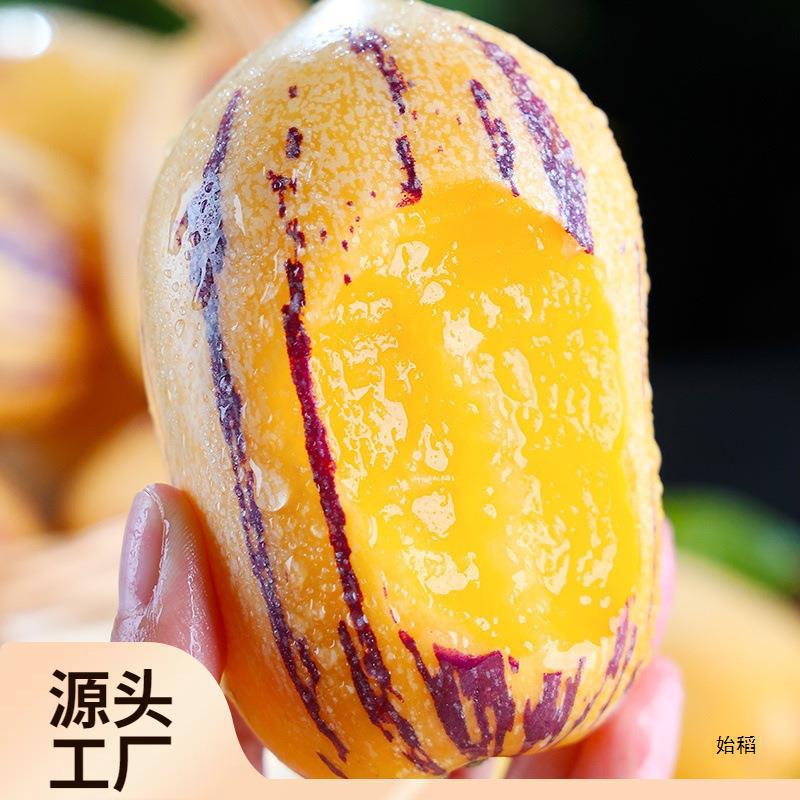 Сезонные крупные свежие фрукты гинсенга из Ганьсу Миньцин с желтой мякотью, целая коробка 5кг длинных фруктов с бесплатной доставкой