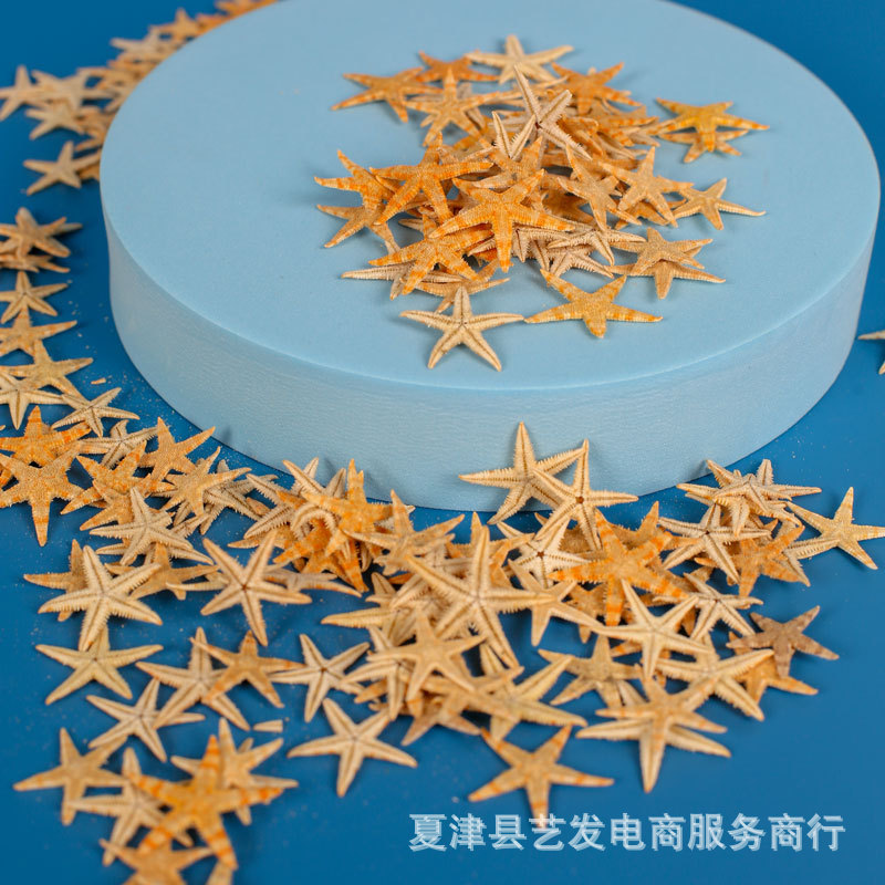 Natural Starfish Conch Shell Mini Flat Starfish Handmade DIY Texture Picture Frame Crystal Gel Material Photograph