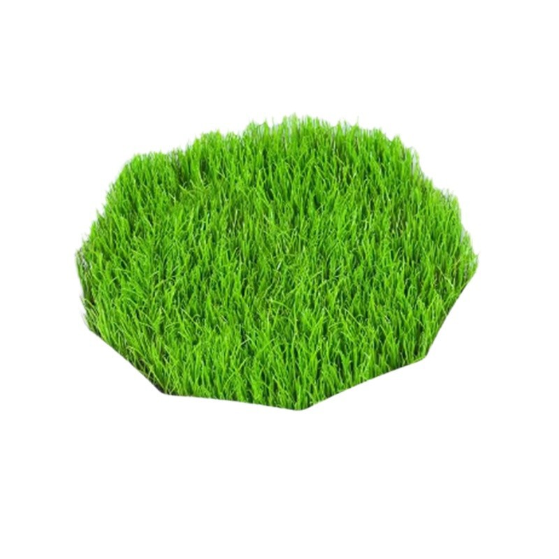 Bermuda Grass Seeds Are Evergreen, Dwarf and Pruning-Free, House Yard Lawn Seeds, Trampling-Resistant, Cold-Resistant and Drought-Resistant Grass Seeds