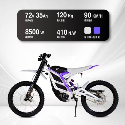 79Bike Falcon Pro Electric Off-Road Motorcycle Mountain Bike Venue Version Two-Wheeled Racing Bike
