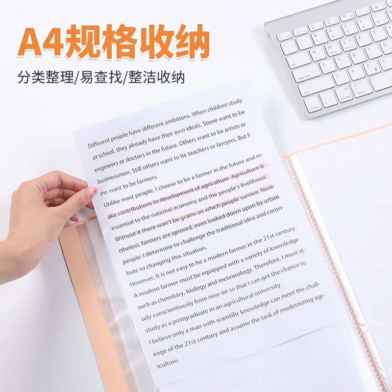 Morandi Information Book a4 Loose-leaf Folder pp Material Office Financial Information Music Book Student Test Paper Collection Book