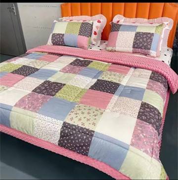 2023 new cotton beanie velvet soybean quilt spring and autumn quilt winter quilt raw cotton beanie quilt massage wholesale live broadcast