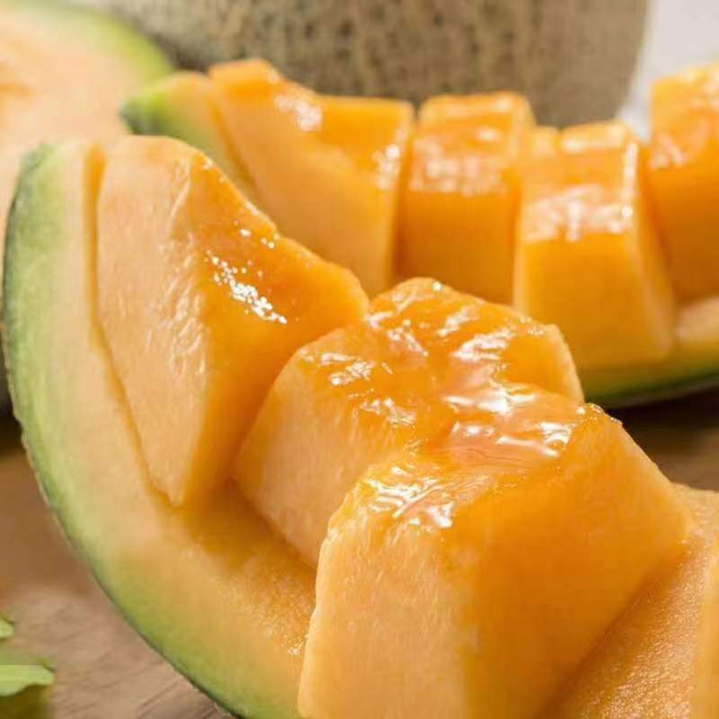 Authentic Xinjiang Turpan Hami Melon 5kg Xizhou Honey Net Melon Cantaloupe Fresh Seasonal Fruit