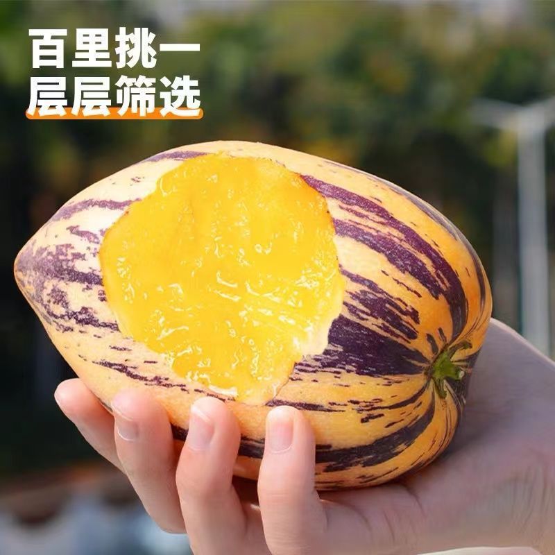 Гinseng Fruit из Минцин, Ганьсу 5кг, желтые фрукты, оптовая цена