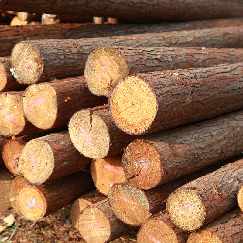 Log Wooden Piles, River Piling, Wooden Revetments, Slope Protection, Embankment Protection Piles, Flood Prevention and Flood Prevention Projects, Forest Farms, Direct Delivery to Construction Sites