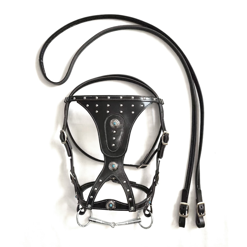 Horse Harness with Pure Cowhide Reins, Horse Leash, Horse Gear, Horse Tie, Horse Equipment, New Dragon Set with Metal Buckle, Elegant
