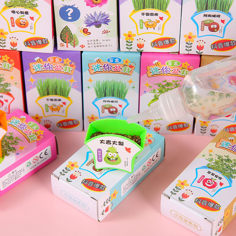 Green Plant Small Potted Plant Children's Homework diy Mini Planting Science Experiment Small Flower Farmers Flower Seed Gift Blind Box