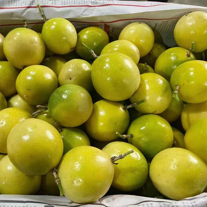 Guangxi passion fruit 5kg postage big fruit gold qinmi 9 fresh summer fruit pure sweet fresh fruit gift box