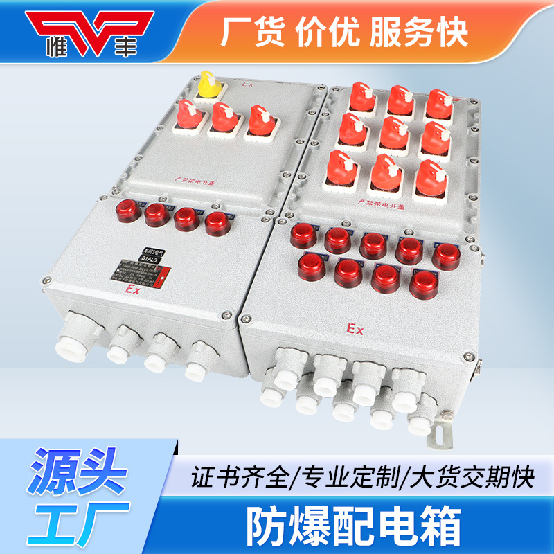 Взрывозащищенный распределительный щит, ящик соединений, источник питания, положительный давление, контрольный переключатель, клеммный ящик, завод