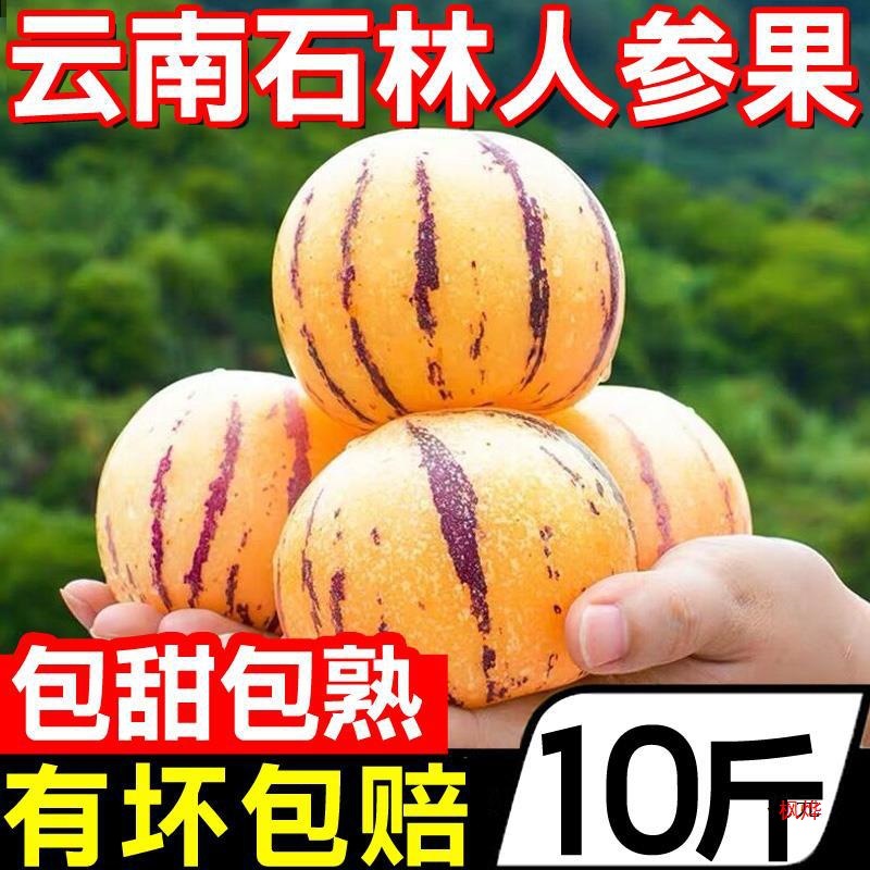 Yunnan Shilin Ginseng Fruit 5kg Fresh Fruit Doll Yellow Flesh Heart Fruit Life Fruit Round Fruit Seasonal Whole Production