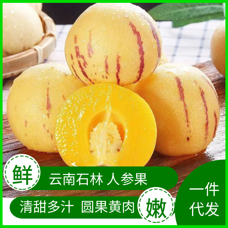 [Молочные и сладкие] Гинсенговые фрукты из Юньнани Шилин, круглые фрукты, естественно зрелые, сезонные свежие фрукты оптом