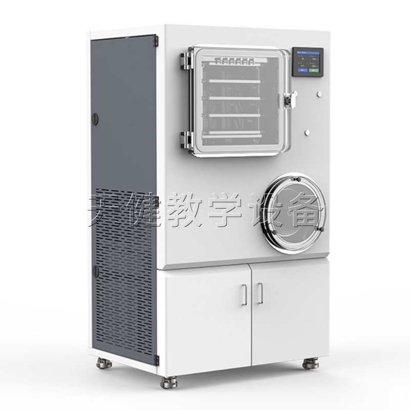 Mp5 Pilot-Scale Vacuum Freeze Dryer In-Situ Freeze Dryer for Scientific Research Laboratory Food Safety