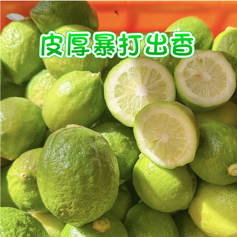 [Direct Delivery from the Place of Origin] Guangdong Perfume Lemon Hand-Made Seedless Green Fresh First-Grade Fruit for Milk Tea Shops